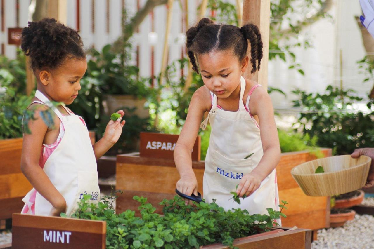Hotel The Ritz-Carlton, Doha Exterior foto Children working in a garden