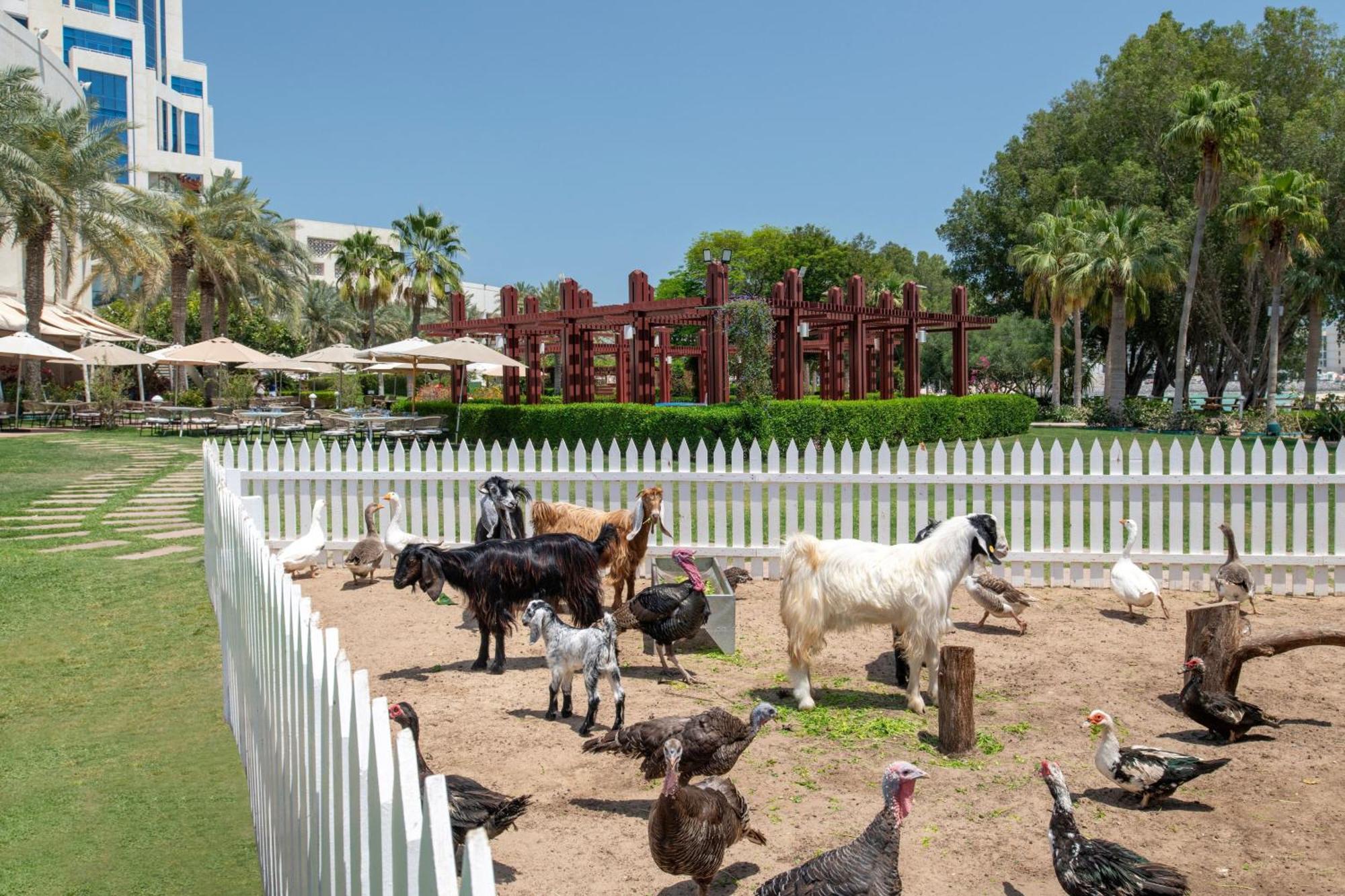 Hotel The Ritz-Carlton, Doha Exterior foto The farm at the resort